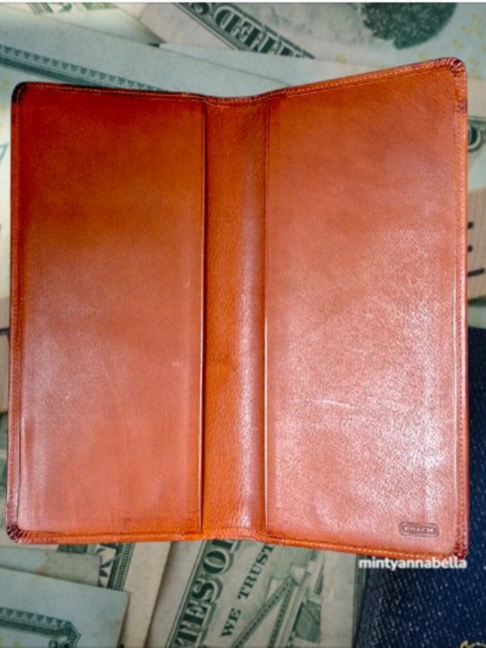 Coach Rare Vintage Travel Case
